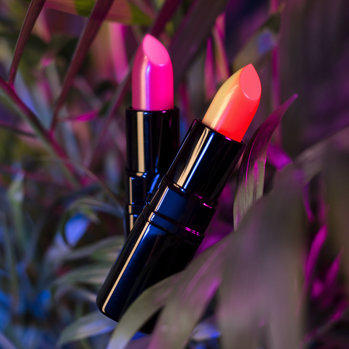 A Whole New World...of Lipstick | Get Dollied News | Coming Soon